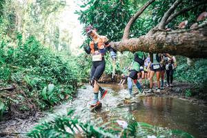 BIB: 
                            <button type="button" onclick="openModal(25515679)" class="btn btn-primary btn-sm float-right btn-popup" data-toggle="modal" data-target=".modal-high-quality">
                        <i class="fas fa-shopping-cart"></i> Add to Cart
                    </button>
                                            <button type="button" onclick="isThisMe(25515679, true)" class="btn btn-success btn-sm float-right btn-popup btn-isme hidden" data-toggle="tooltip" data-placement="bottom" title="นี่คือรูปของคุณใช่ไหม คลิกที่นี่เพื่อเอาเข้าอัลบั้ม">
                        <i class="fas fa-plus"></i> Add to album
                    </button>
                    <button type="button" onclick="isThisMe(25515679, false)" class="btn btn-warning btn-sm float-right btn-popup btn-isnotme hidden">
                        <i class="fas fa-ban"></i> Remove from album
                    </button>